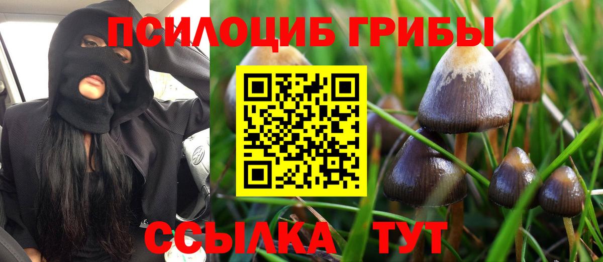 Псилоцибиновые грибы прущие грибы Знаменск