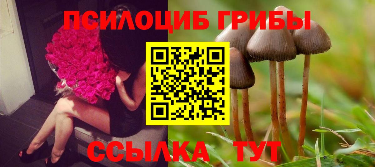 Галлюциногенные грибы Psilocybine cubensis  Псилоцибиновые грибы мухоморы  Вход с VPN  Знаменск 